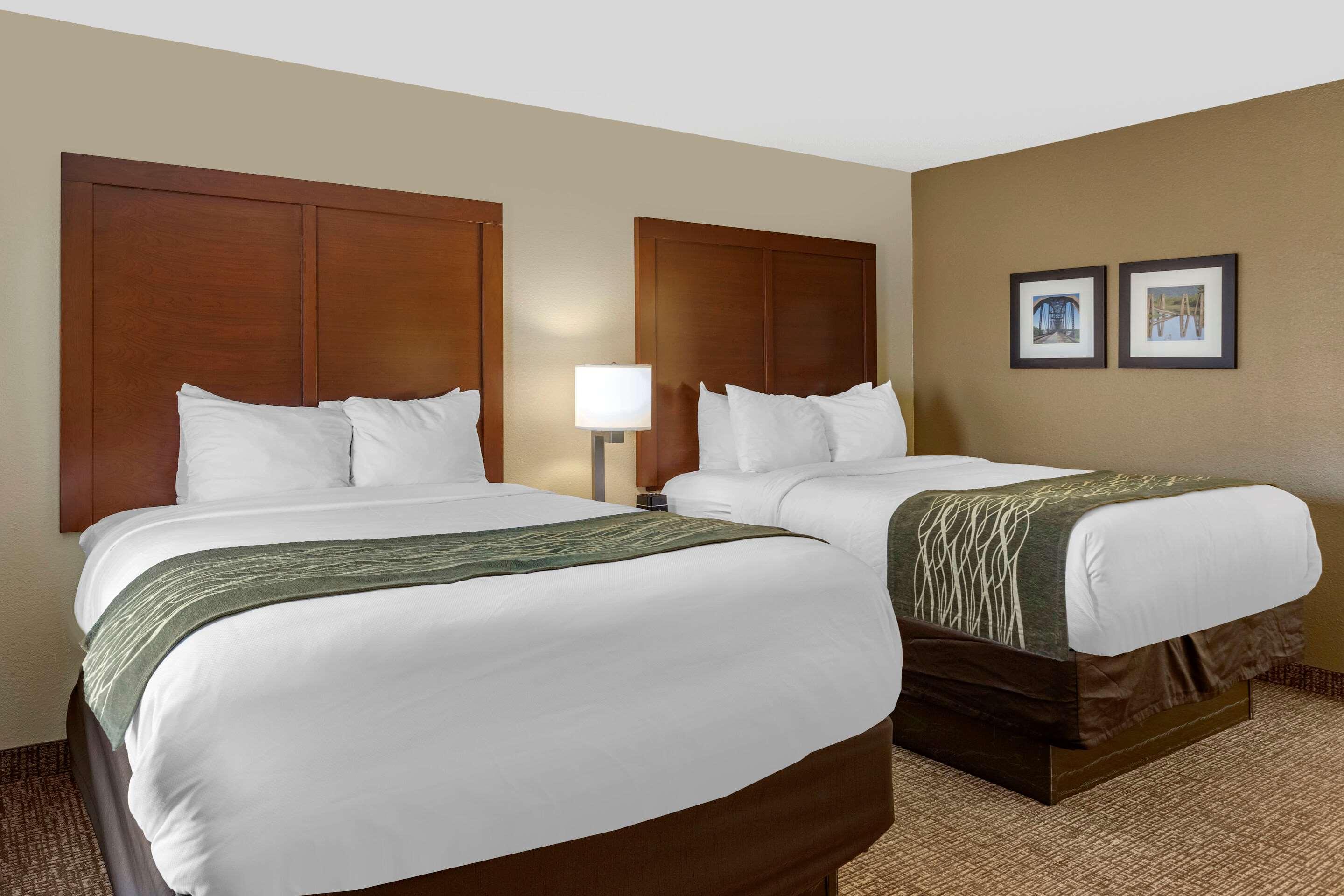 Comfort Inn & Suites Airport Little Rock Zewnętrze zdjęcie